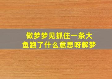 做梦梦见抓住一条大鱼跑了什么意思呀解梦