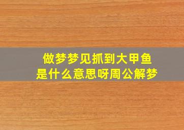 做梦梦见抓到大甲鱼是什么意思呀周公解梦