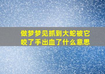 做梦梦见抓到大蛇被它咬了手出血了什么意思