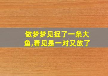 做梦梦见捉了一条大鱼,看见是一对又放了