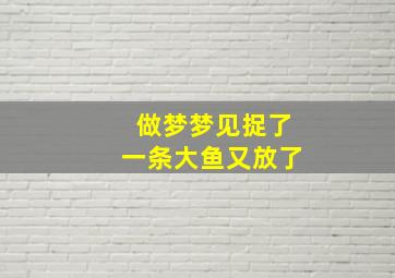 做梦梦见捉了一条大鱼又放了