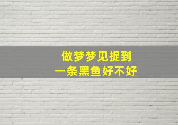 做梦梦见捉到一条黑鱼好不好