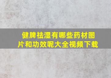 健脾祛湿有哪些药材图片和功效呢大全视频下载