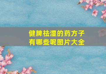 健脾祛湿的药方子有哪些呢图片大全