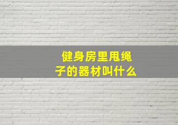 健身房里甩绳子的器材叫什么