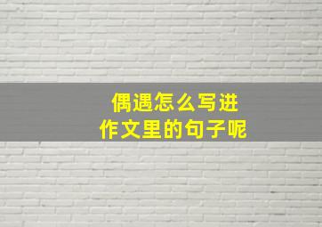 偶遇怎么写进作文里的句子呢