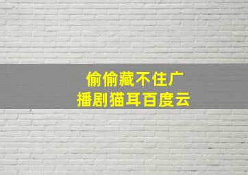 偷偷藏不住广播剧猫耳百度云