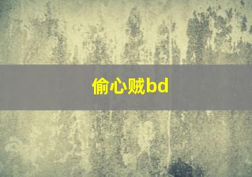 偷心贼bd