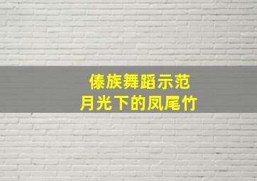 傣族舞蹈示范月光下的凤尾竹