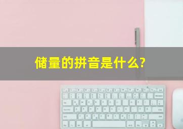 储量的拼音是什么?