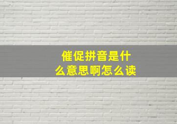 催促拼音是什么意思啊怎么读