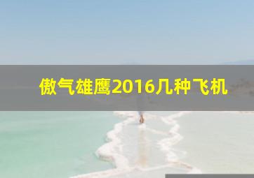 傲气雄鹰2016几种飞机