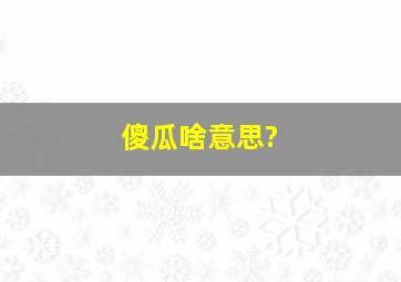 傻瓜啥意思?