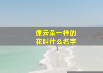 像云朵一样的花叫什么名字