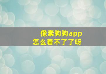 像素狗狗app怎么看不了了呀