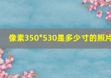 像素350*530是多少寸的照片