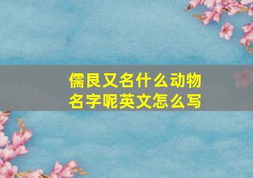 儒艮又名什么动物名字呢英文怎么写