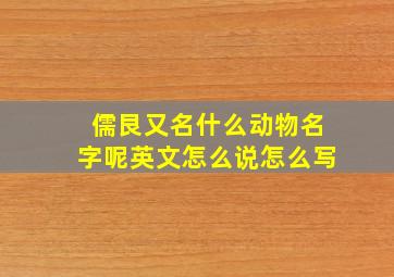 儒艮又名什么动物名字呢英文怎么说怎么写