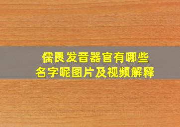 儒艮发音器官有哪些名字呢图片及视频解释