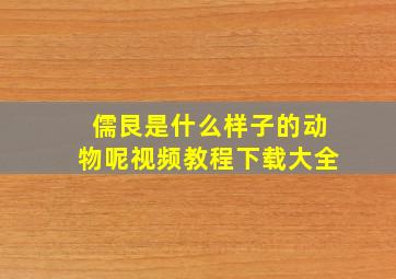 儒艮是什么样子的动物呢视频教程下载大全