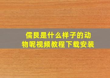 儒艮是什么样子的动物呢视频教程下载安装