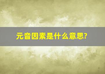 元音因素是什么意思?