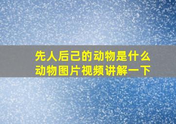 先人后己的动物是什么动物图片视频讲解一下