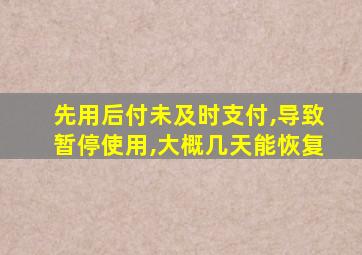 先用后付未及时支付,导致暂停使用,大概几天能恢复