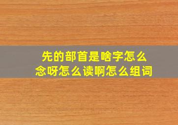 先的部首是啥字怎么念呀怎么读啊怎么组词