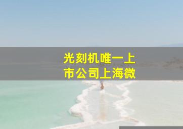 光刻机唯一上市公司上海微