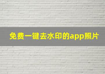 免费一键去水印的app照片