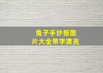 兔子手抄报图片大全带字漂亮