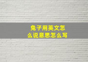 兔子用英文怎么说意思怎么写