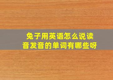 兔子用英语怎么说读音发音的单词有哪些呀