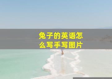 兔子的英语怎么写手写图片