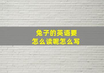 兔子的英语要怎么读呢怎么写