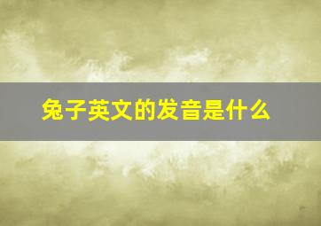 兔子英文的发音是什么