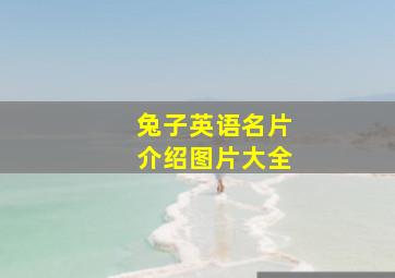 兔子英语名片介绍图片大全