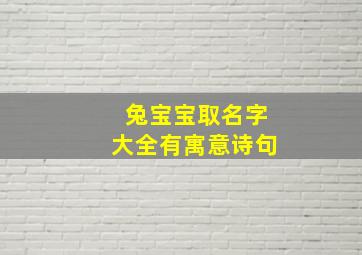 兔宝宝取名字大全有寓意诗句