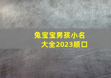 兔宝宝男孩小名大全2023顺口