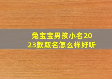 兔宝宝男孩小名2023款取名怎么样好听