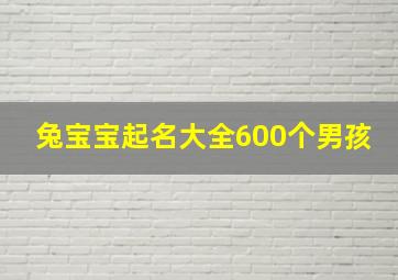 兔宝宝起名大全600个男孩