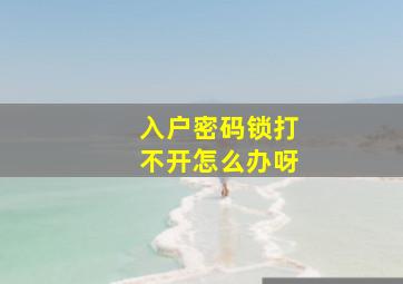 入户密码锁打不开怎么办呀