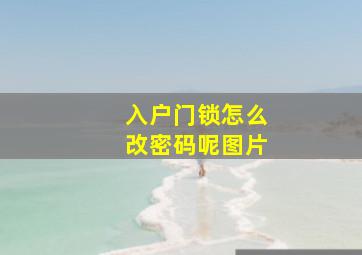 入户门锁怎么改密码呢图片