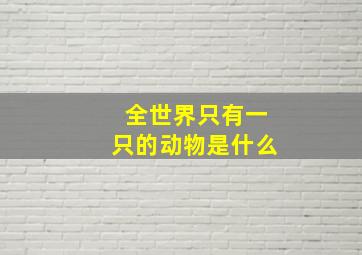 全世界只有一只的动物是什么