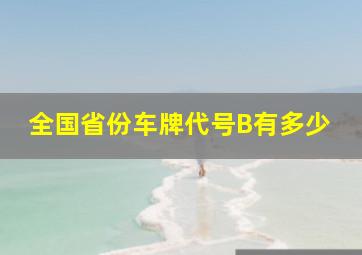 全国省份车牌代号B有多少