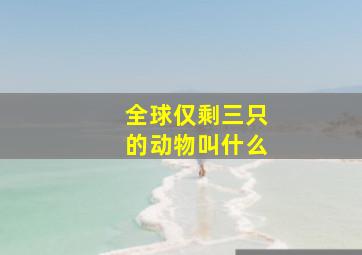 全球仅剩三只的动物叫什么