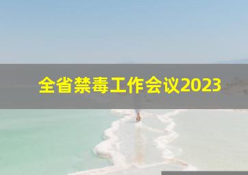 全省禁毒工作会议2023