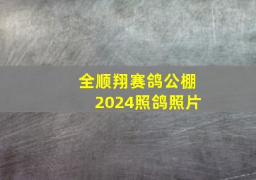 全顺翔赛鸽公棚2024照鸽照片