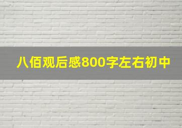 八佰观后感800字左右初中